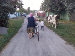 Eine Nachbarin, die abends mit ihrem Enkelkind und ihrer Kuh vom Feld nach Hause kommt. Dekabrist Str., Kozelets, Region Tschernihiw, Ukraine, 2018.