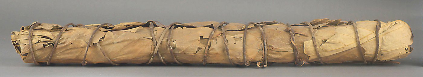 Jurupari is a wind instrument from Northwest Amazon. It is part of the collection of Amazonian collection at Welmuseum Wien.