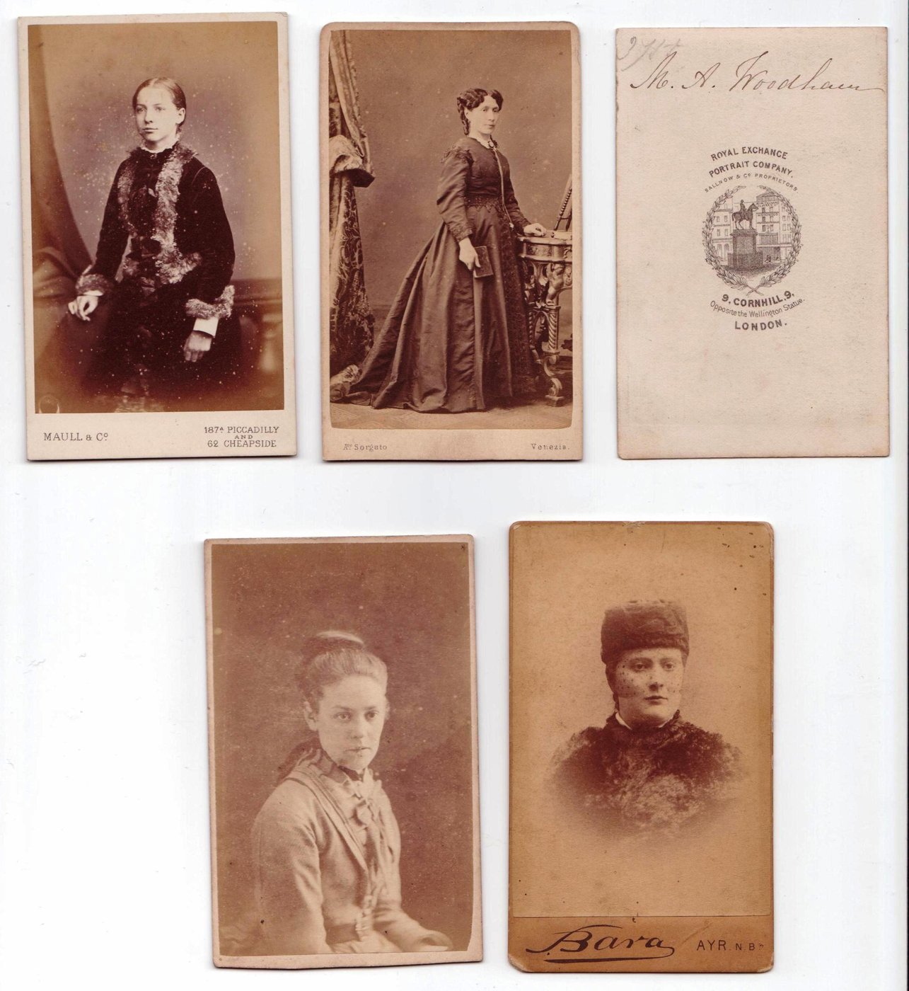 Cartes-de-Visite. Portraitaufnahmen von 4 Frauen und eine Seite mit dem Logo der Royal Portrait Company London