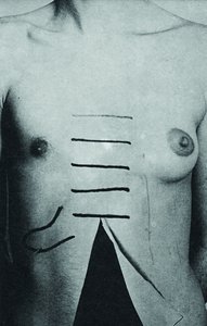 Belisario Franca and Ricardo Elkind, Untitled, c. 1984. Image published in the book Antolorgia: Arte Pornô [Antholorgy: Porn Art], edited by Eduardo Kac and Cairo Trindade (Rio de Janeiro: Codecri, 1984)