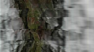 Digitaler Scan einer Biopatina: Synergie von Cyanobakterien, Algen, Pilze und Bakterien