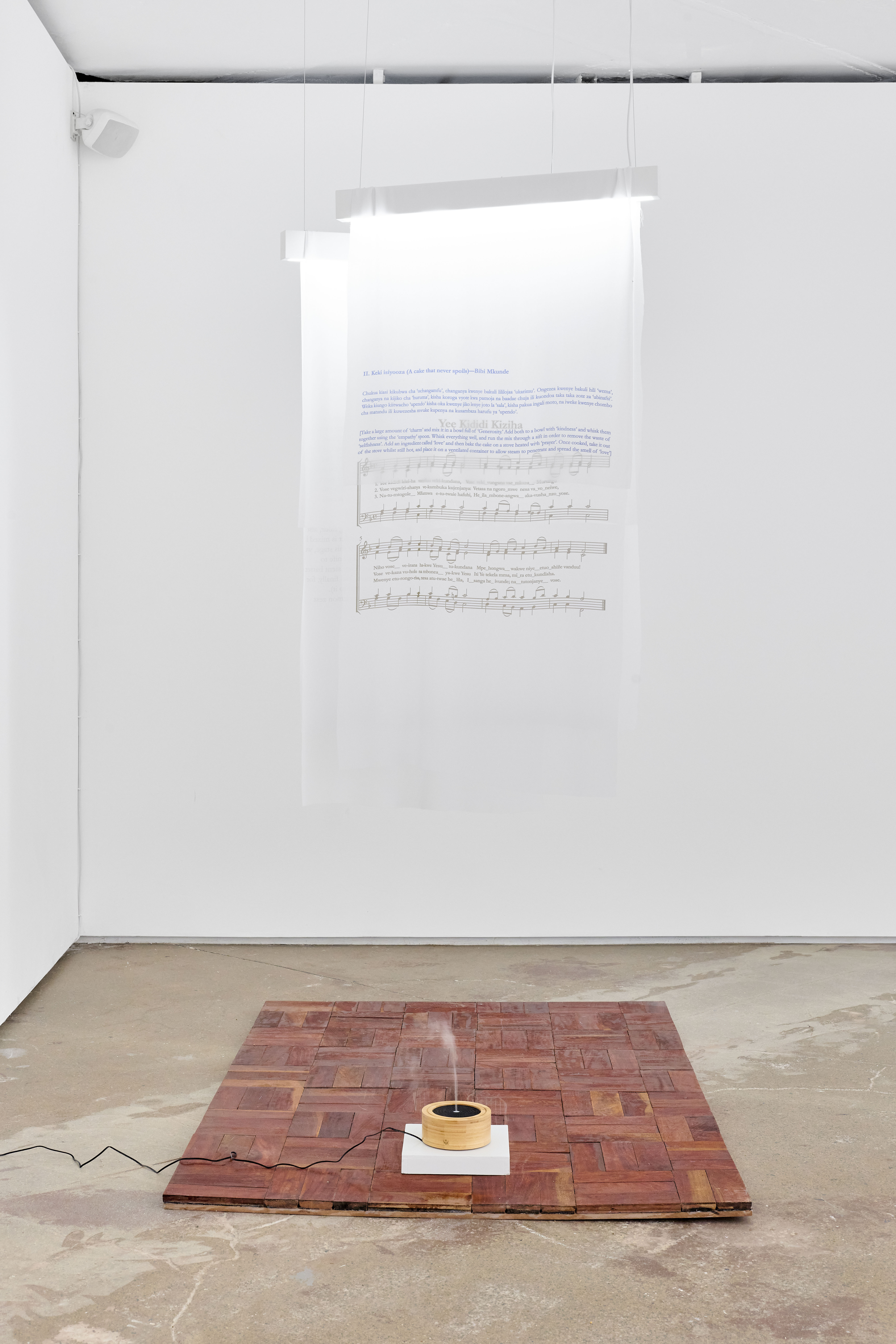 Image courtesy of Goodman Gallery Johannesburg.