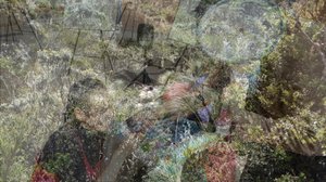 Eine Überlagerung zweier Bilder, eines einer Wasserströmung in den Bergen nahe Bogotá, Kolumbien; das zweite des_der Künstlers_in Adriana Gutiérrez Ayala als Teil einer Ausstellung im öffentlichen Raum in anderen verstädterten Bergen Bogotá's Peripherie.