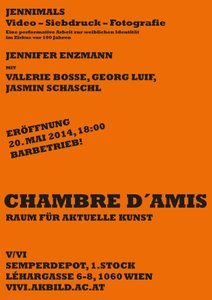 Eine Ausstellung des Fachbereichs Video und Videoinstallation am Institut für bildende Kunst im Rahmen von Chambre d'Amis – Raum für aktuelle Kunst von Jennifer Enzmann mit Valerie Bosse, Georg Luif, Jasmin Schaschl.