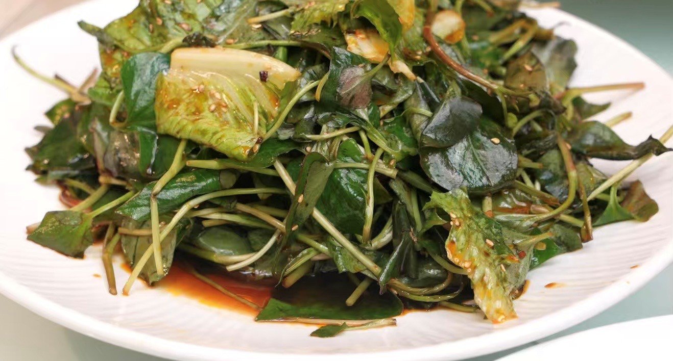 Videostill. Ein weißer Teller, darauf deftig marinierter Salat mit Sesam.