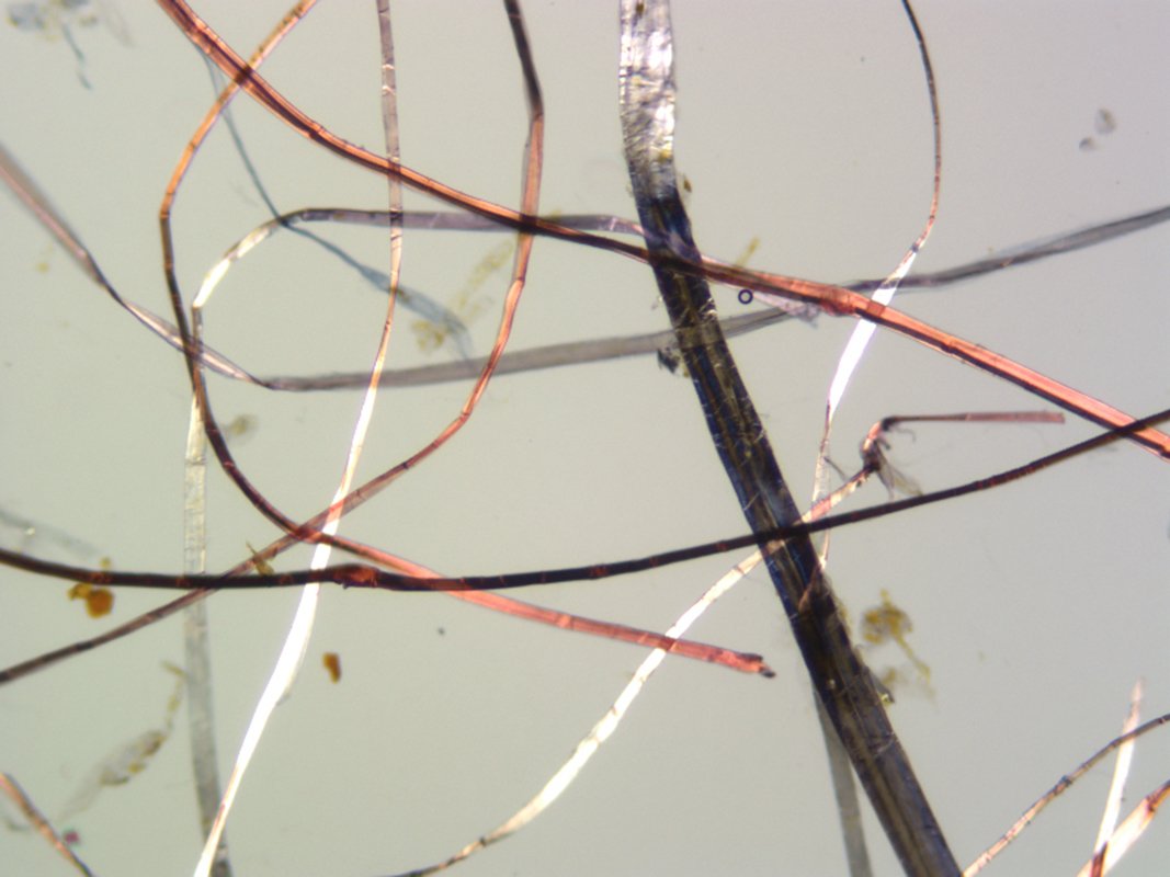 C4 Tangle of paper fibers
