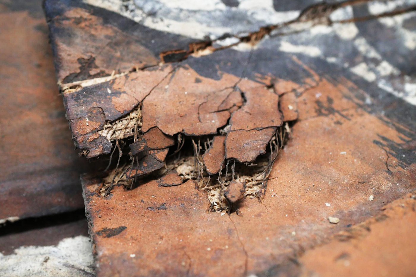 Fotografie, Nahaufnahme von Holzfasern mit verschiedenen Farben darauf