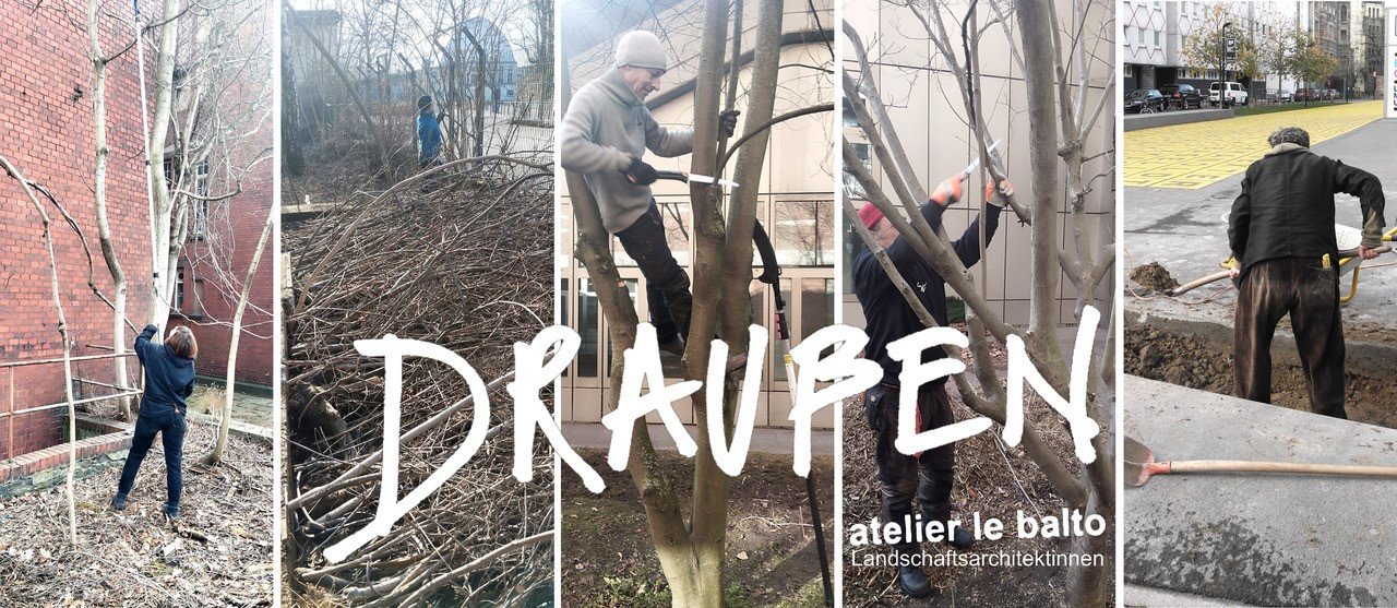 Fünfgeteiltes Bild aus verschiedenen Fotos, die Personen zeigen, die mit Ästen arbeiten bzw. diese schneiden oder graben.