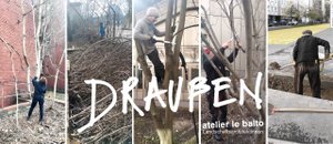 Fünfgeteiltes Bild aus verschiedenen Fotos, die Personen zeigen, die mit Ästen arbeiten bzw. diese schneiden oder graben.