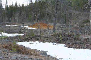 Die Abbildung zeigt die Stelle einer frischen Probebohrung nach Kupfer in Nautanen, einer längst verlassenen Minenstadt in Sápmi / Nordschweden. Das ausgehobene Material wurde in der Landschaft zurückgelassen. Die Farbe des Materials (orange) bildet einen Kontrast zur Landschaft, die „naturbelassen“ wirkt. Foto: Karin Reisinger, Mai 2022.