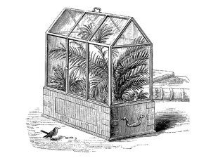 Ein Druck mit einer Abbildung von einem Glashaus mit Palmen und ein Vogel sitzt davor.