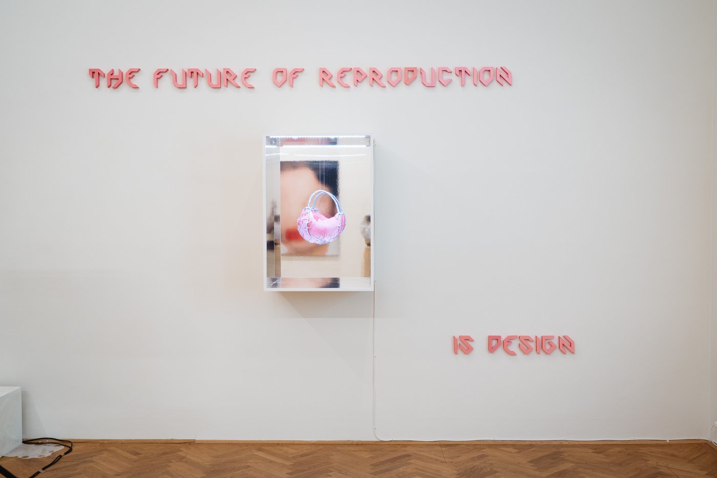 rosa Schriftzug "The future of reproduction" darunter ein Spiegelkasten mit einem rosa Objekt darin