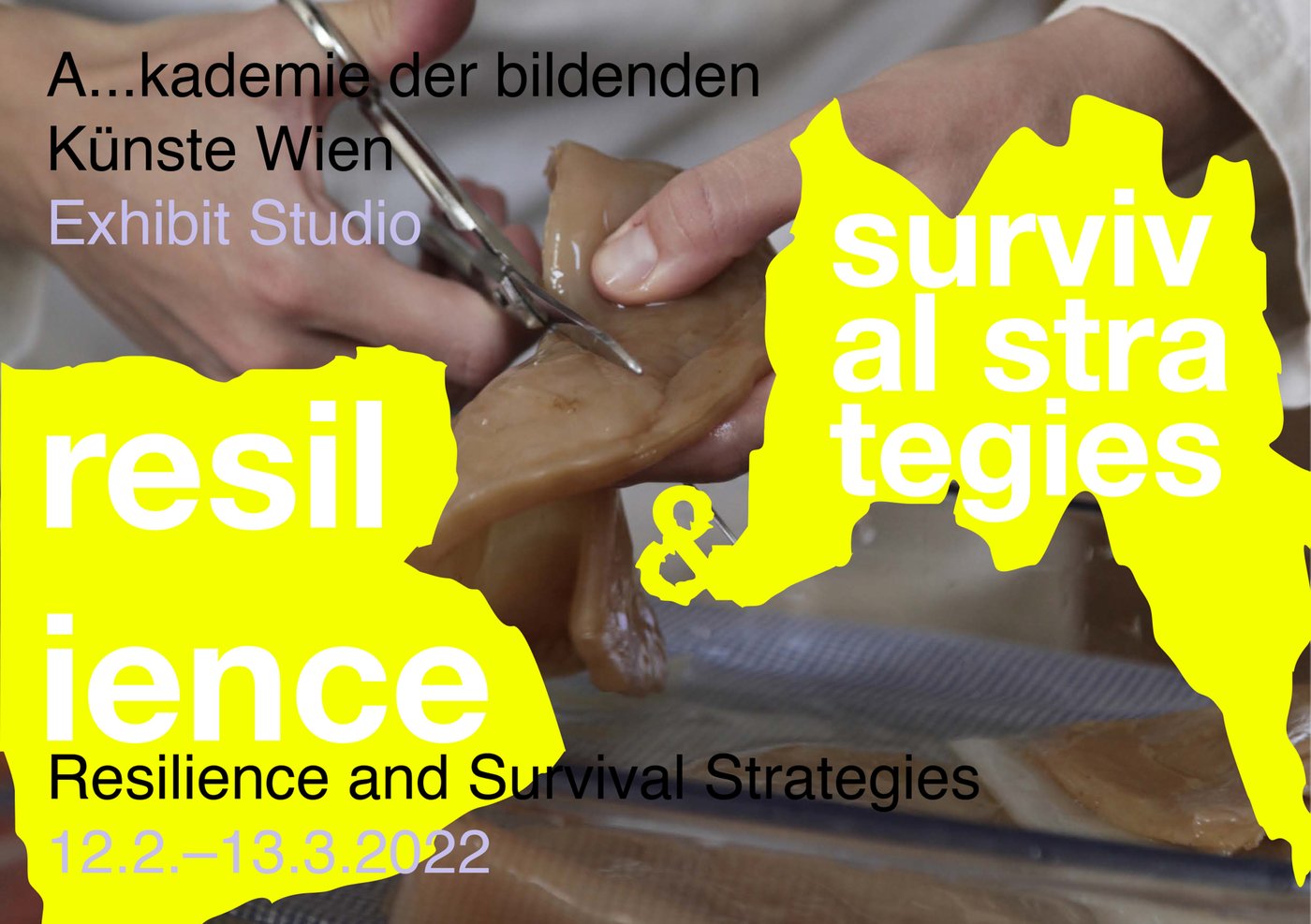 Im Rahmen des Eröffnungswochenendes der Ausstellung
 
  Resilience and Survival Strategies
 
 findet die Performance
 
  Relation between zombies and green
 
 (11.2., 16:30 Uhr) statt.