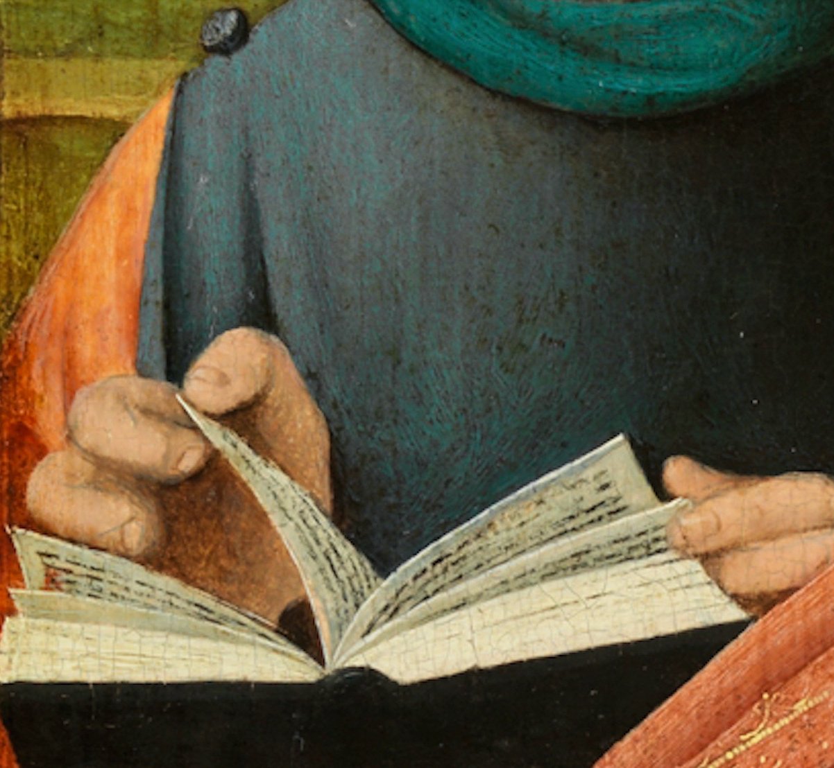 Zoom auf zwei Hände, die ein Buch halten.