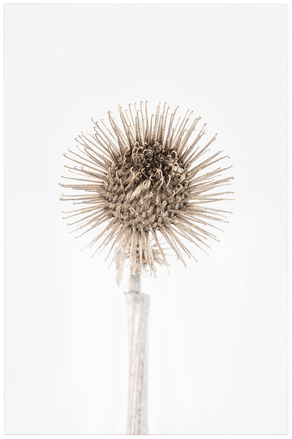 Aktuelle Informationen zum Coronavirus (SARS-CoV-2)      GESCHLOSSEN: Die permanente Ausstellung und die Sonderausstellungen von Gemäldegalerie und Kupferstichkabinett der Akademie zu Gast im Theatermuseum, Lobkowitzplatz 2, 1010 Wien bleiben ab Mittwoch, 11.3.2020, bis voraussichtlich 3.4.2020 GESCHLOSSEN.