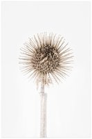 Aktuelle Informationen zum Coronavirus (SARS-CoV-2)      GESCHLOSSEN: Die permanente Ausstellung und die Sonderausstellungen von Gemäldegalerie und Kupferstichkabinett der Akademie zu Gast im Theatermuseum, Lobkowitzplatz 2, 1010 Wien bleiben ab Mittwoch, 11.3.2020, bis voraussichtlich 3.4.2020 GESCHLOSSEN.