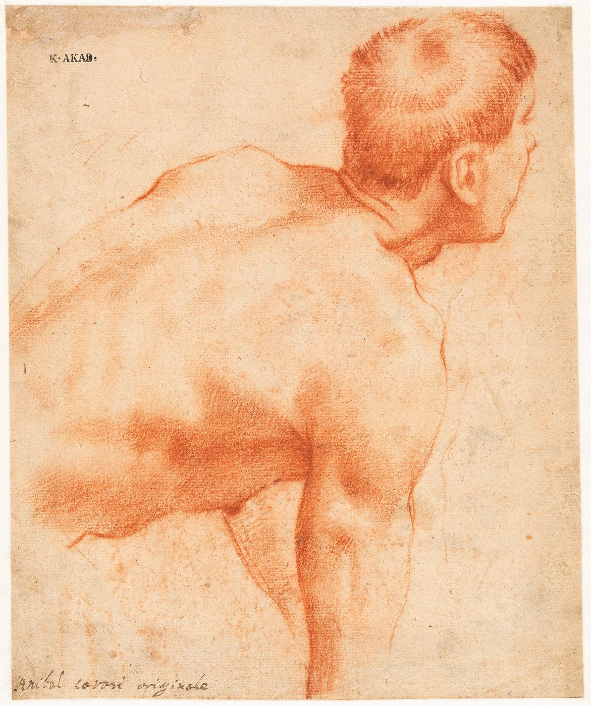 Dorsal view of an unclothed man with short hair, bending to the right.