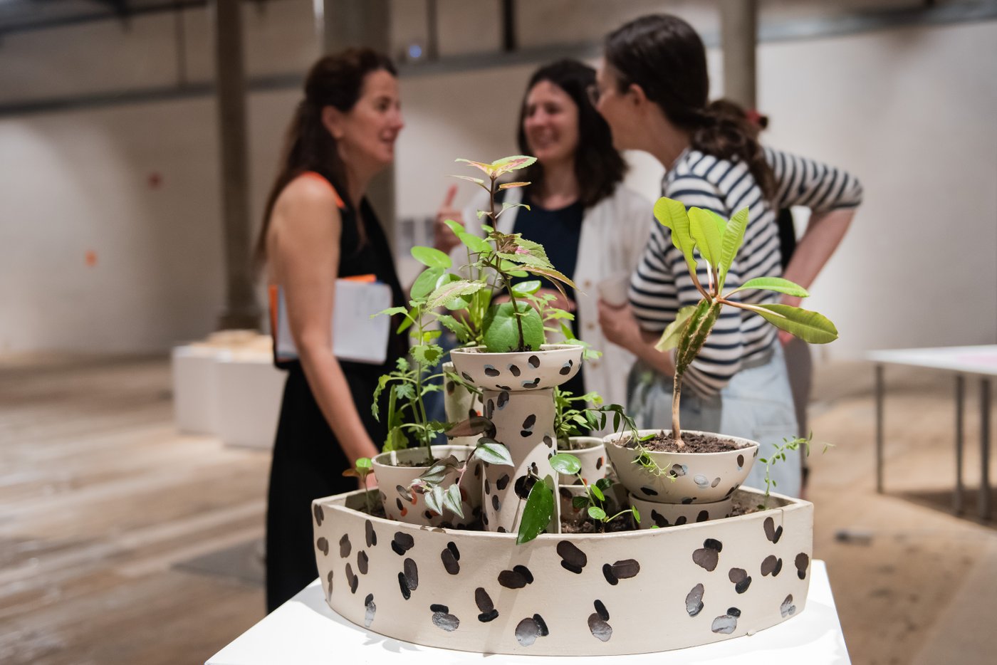 im Vordergrund ein Pflanzengestellt in Keramikvasen, dahinter drei Personen die miteinander reden