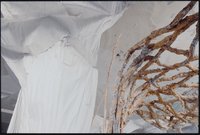 Anna Orbanic: BODY OF MANY (2024) © Francesco Biccheri
