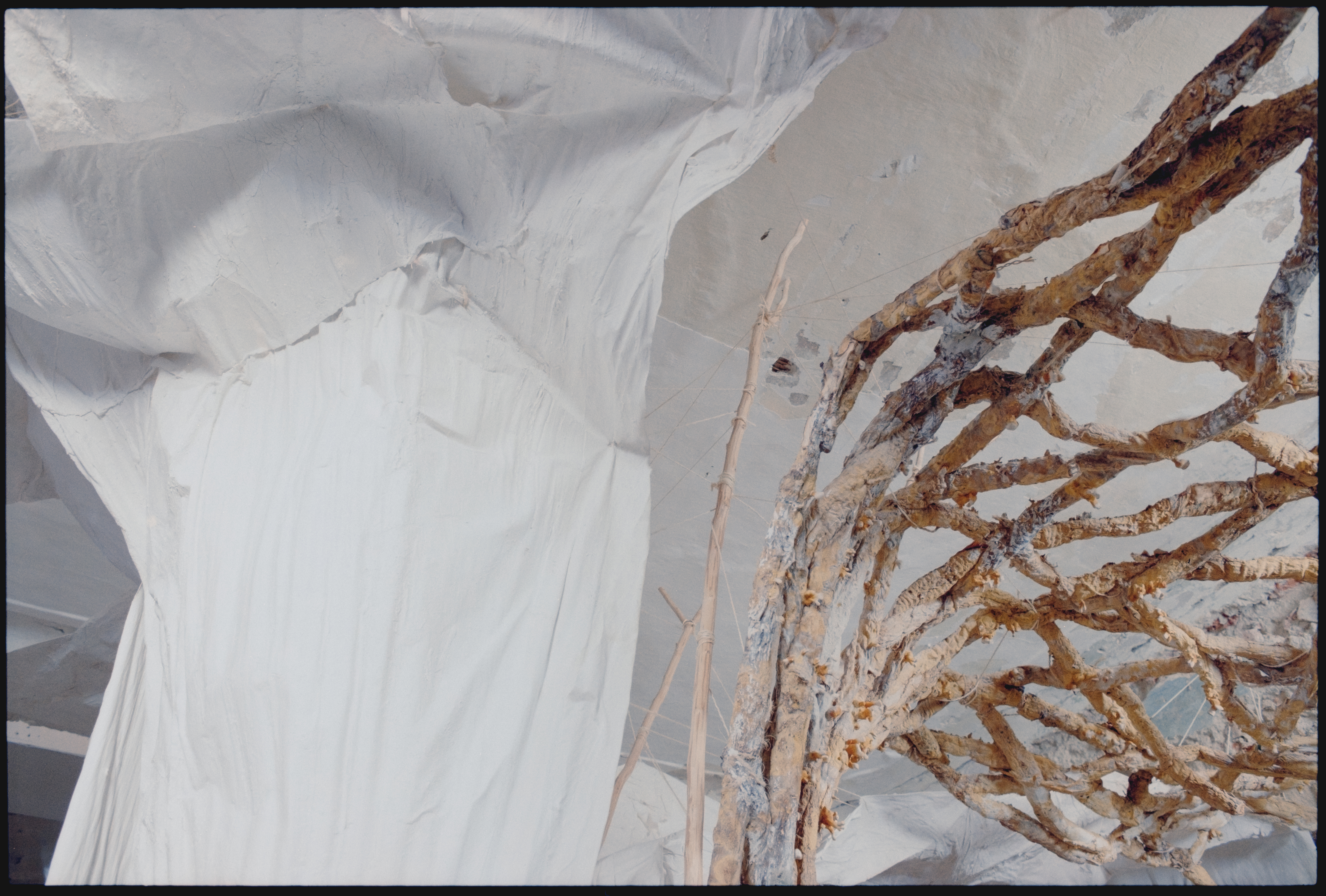 Anna Orbanic: BODY OF MANY (2024) © Francesco Biccheri