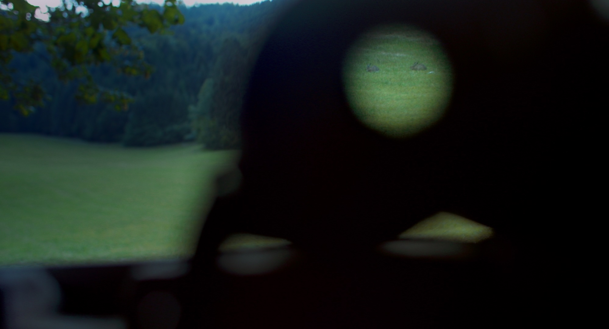 Pilije © Samira Fux, courtesy of sixpackfilm