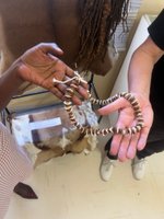 Museum of Namibian Fashion, Otjowarongo, Foto: Anna Hambira