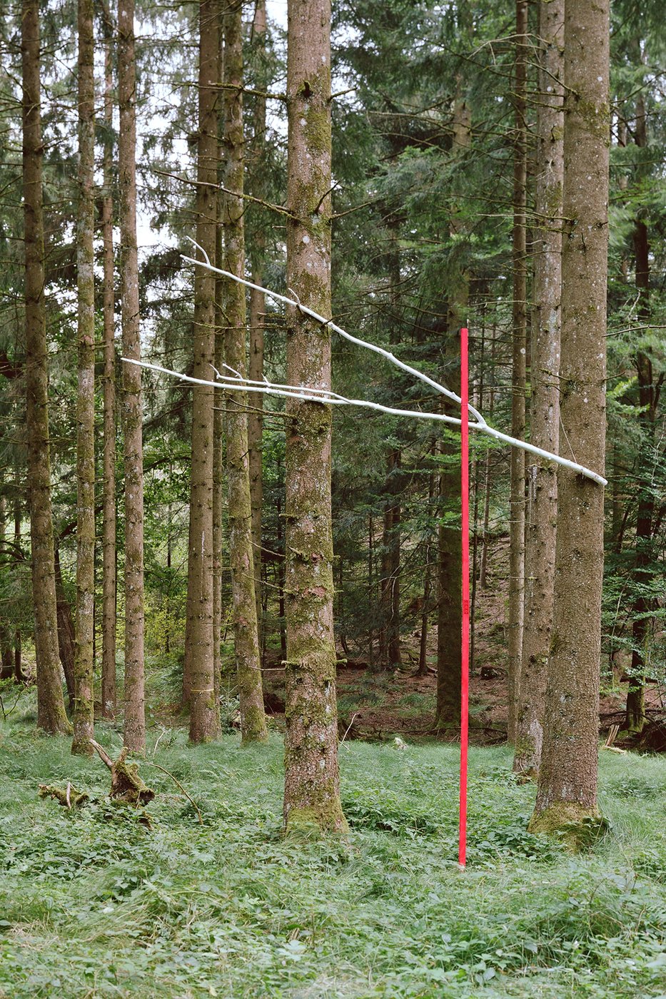 Ein roter und ein weißer Stab sind zwischen Bäumen gespannt