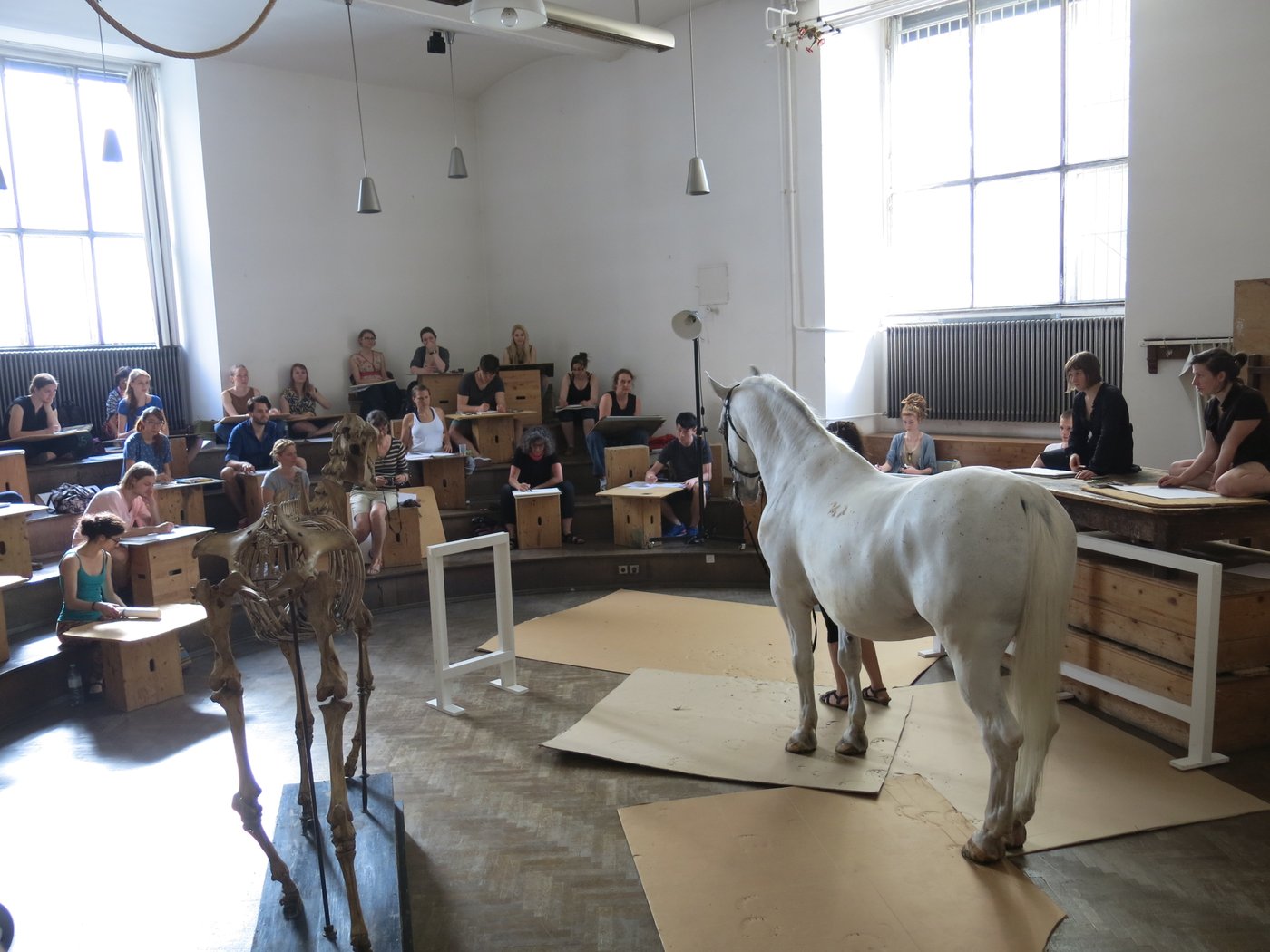 Ein weißes Pferd und ein Pferdeskelett werden von Studierenden gezeichnet. Sie sitzen auf einer 4-stufigen Holzgalerie und benutzen Holzkisten als Unterlage.
