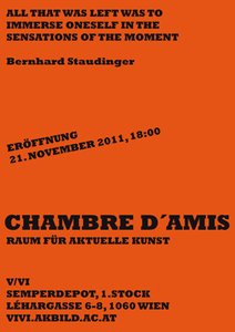 Chambre d'amis - Raum für aktuelle Kunst
 
 Ausstellungsprojekt von Bernhard Staudinger am Institut für bildende Kunst, Video und Videoinstallation