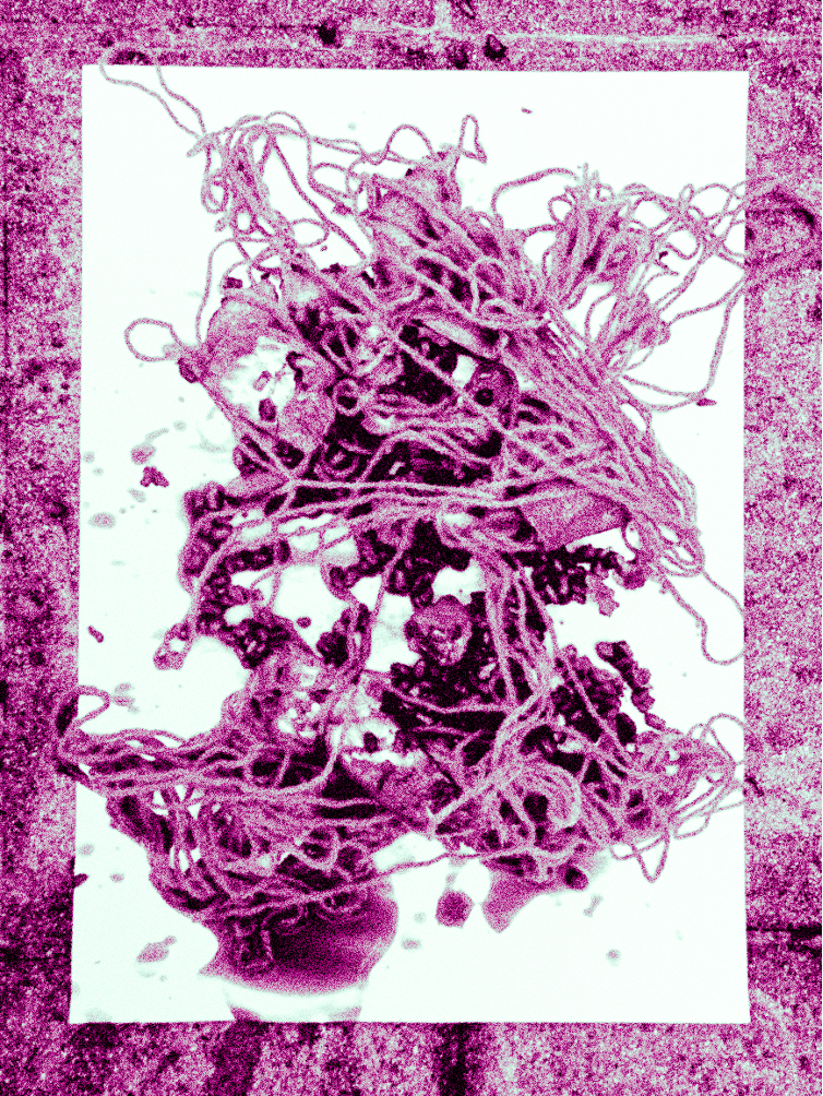 Ein Bündel monochromatisch pinke Wolle und zerquetschter Granatapfel auf einem Stück Papier mit einem monochromatisch pinken Steinhintergrund.