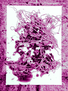 Ein Bündel monochromatisch pinke Wolle und zerquetschter Granatapfel auf einem Stück Papier mit einem monochromatisch pinken Steinhintergrund.