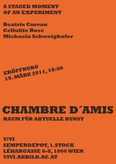 Chambre d'amis - Raum für aktuelle Kunst
 
 Ausstellungsprojekt von Beatrix Curran, Cellulite Rose und Michaela Schweighofer am Institut für bildende Kunst, Video und Videoinstallation
