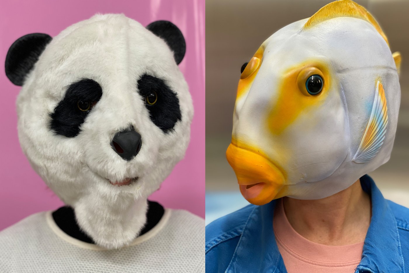 Picture of a person wearing a panda mask with a pink background and a person with a fish mask with a blue background