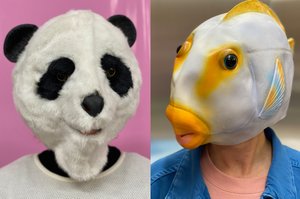 Picture of a person wearing a panda mask with a pink background and a person with a fish mask with a blue background