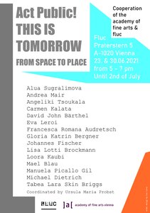 Coordinated by Ursula Maria Probst (Projektorientierte Studien). A cooperation with fluc
 
  www.fluc.at
 
 
 Daily from 5–7 pm
