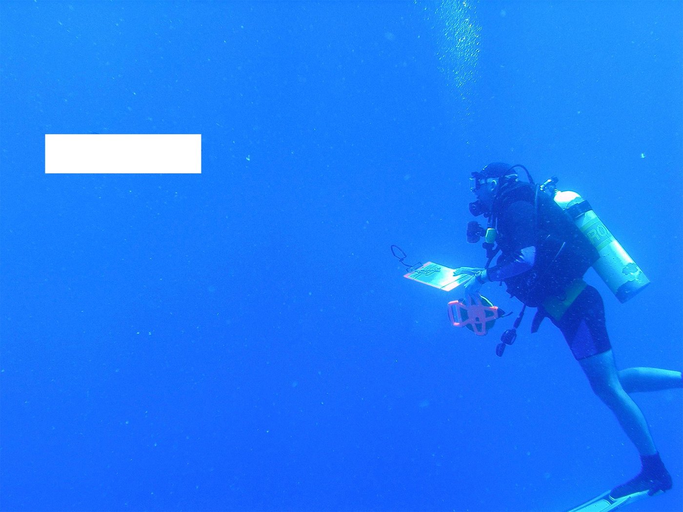 diver under water. Where one might expect to see a fish, there is a black area blocking the view.