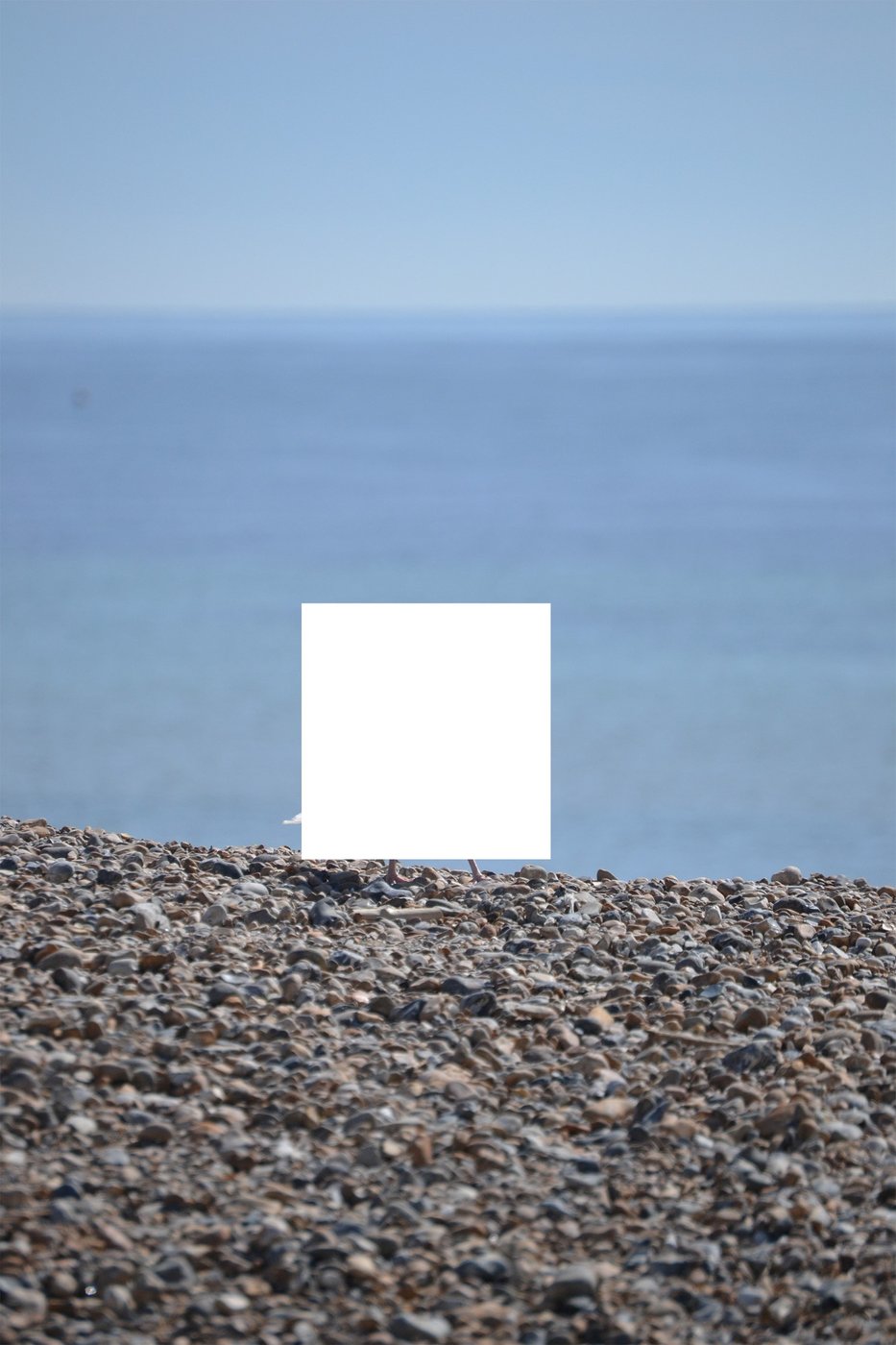 view of the sea. Where one might expect to see a seagull, there is a black area blocking the view.