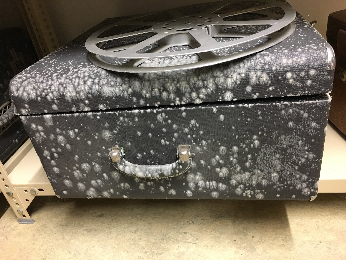 A black suitcase with an empty roll of film on top. The suitcase is covered with white mould colonies.