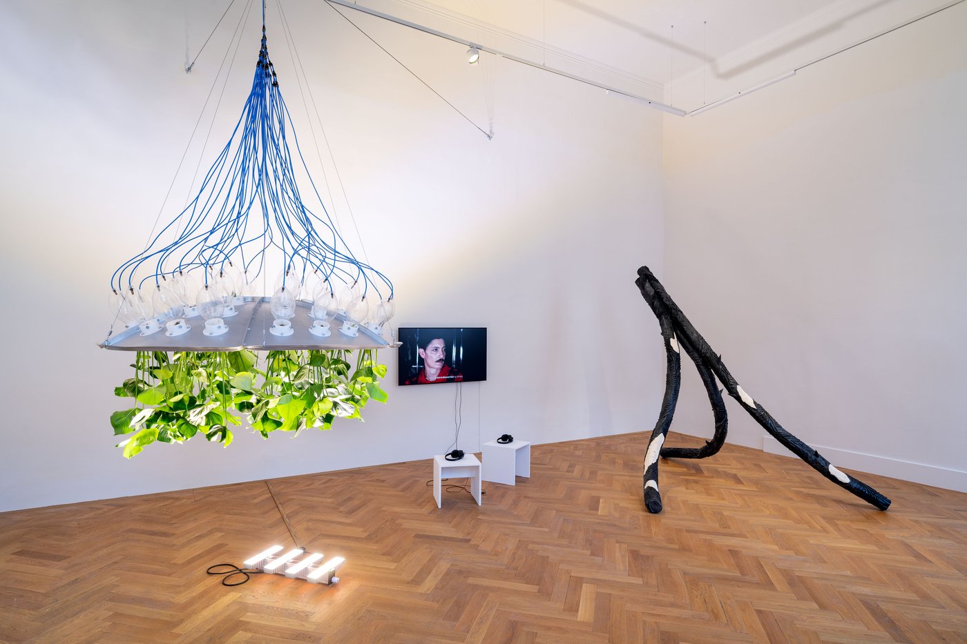 Installation view