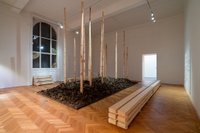 Installation view: Bordering Plants, Exhibit Gallery, 10.11.2023–18.2.2024 © Academy of Fine Arts Vienna Photo: Simon Veres