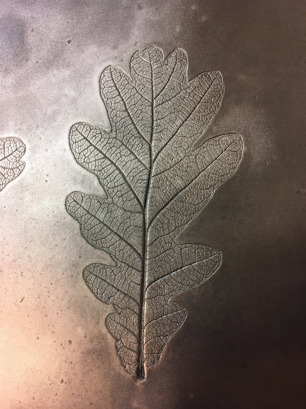 traces of fine details of a leave on a copper colored surface