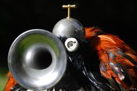 The new exhibition series explores correspondences between Bosch’s altarpiece     The Last Judgment Triptych    , the heart of the Paintings Gallery of the Academy of Fine Arts Vienna, and works by a range of artists. The new exhibition series opens with the flamboyant Dadaist birds by Dutch artist Sjon Brands. His birds are absurd creatures of metal, radio valves, ostrich feathers, ladles and matchboxes, and seem to have fluttered here directly from Hieronymus Bosch’s surreal landscapes of bizarre curiosities.