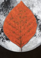 Ana Torfs, The Day You Were Thinking About the Sibyl While You Were Picking Autumn Leaves, detail of one tapestry, 2020–2025 © Ana Torfs, 2025