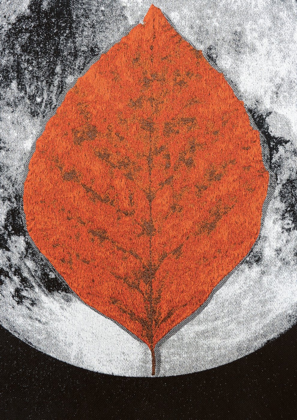 an orange leave in front of a grey white black background