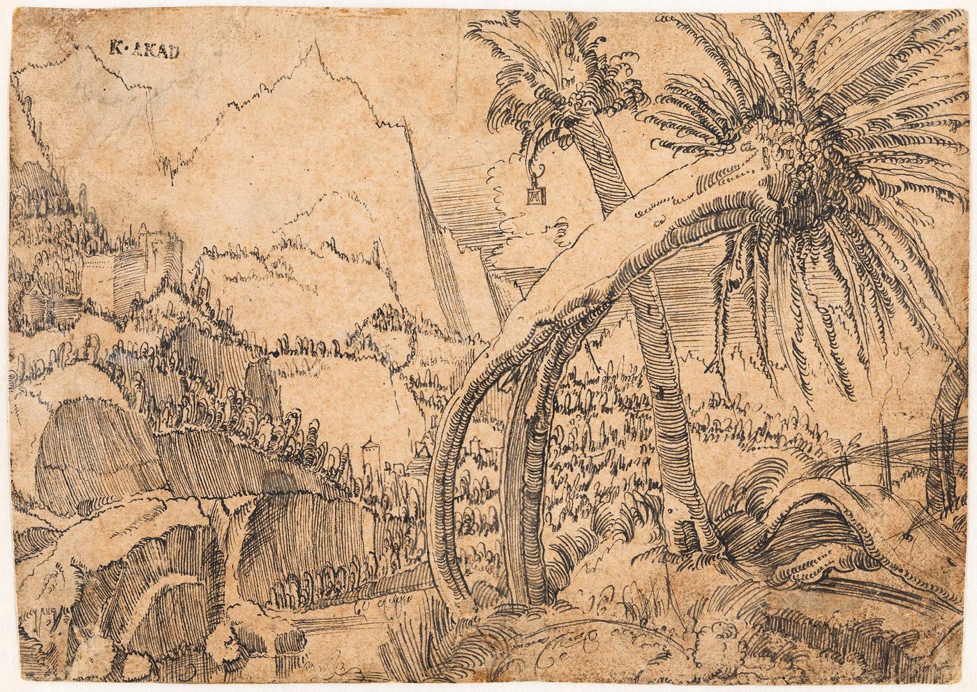 A landscape drawing on brownish paper showing two crooked, weathered willows very dominantly on the right side of the picture. On the left side of the drawing one sees a hilly landscape in the background, fields and isolated buildings depicted in a very fast and rough manner.