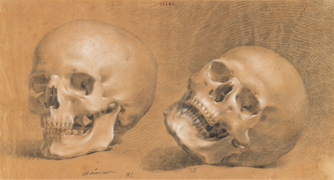 A chalk drawing on brownish paper showing two skulls lying side by side. The left skull lies upright, the right one lies sideways on the ground.