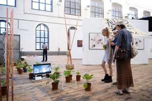 People standing in the exhibtion and watching the artwork (green plants)