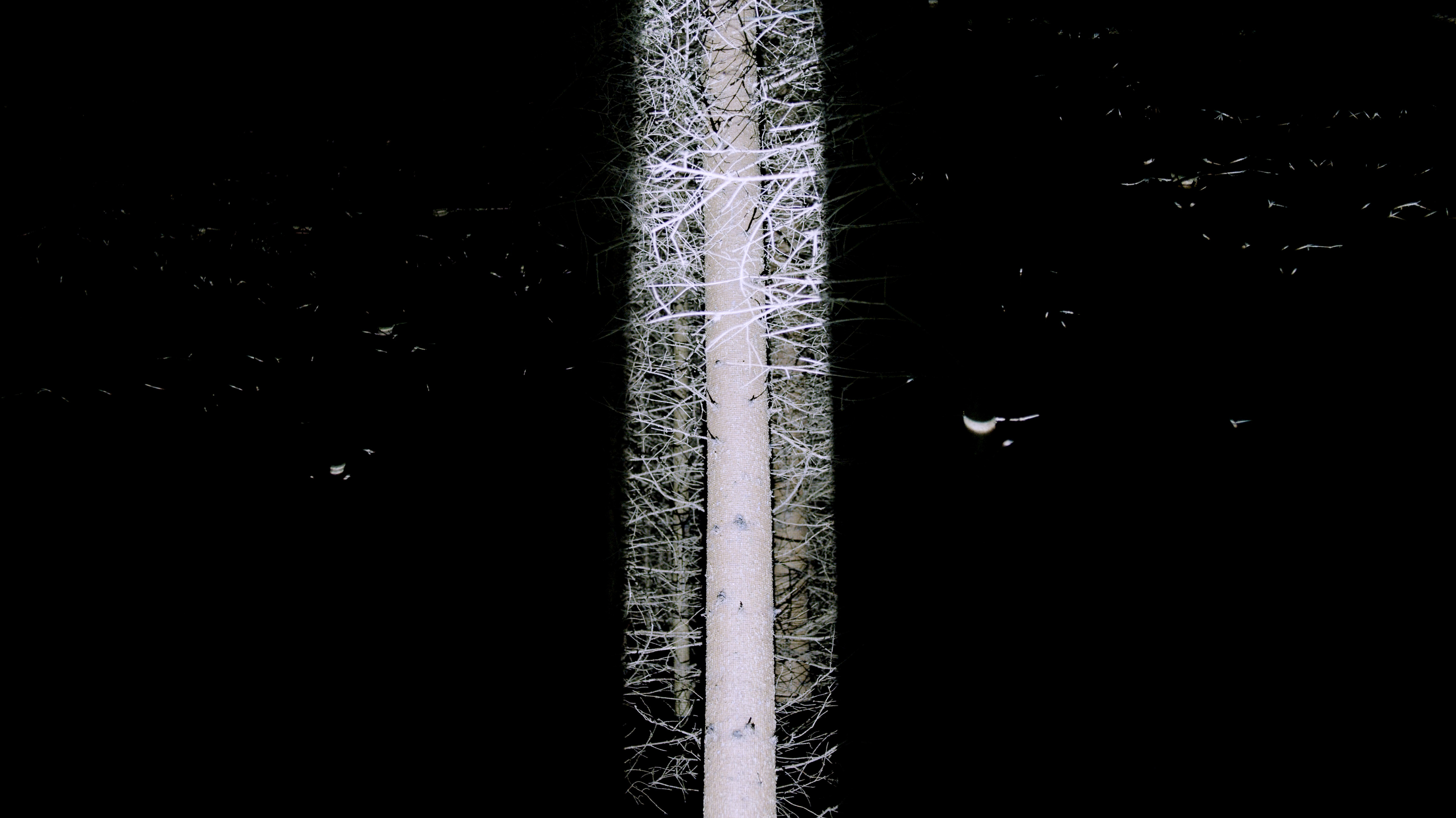 De natura tenebrarum ® Manuel Knapp, courtesy of sixpackfilm