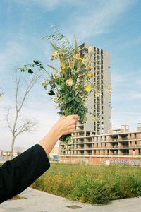 A hand reaches a bouquet of flowers from the left in the center of the picture, behind it a meadow and further away the shell of a high-rise building and blue sky can be seen.