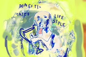 sujet with a painted white dog on green background with the words "domesticated lifestyle"